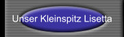 Unser Kleinspitz Lisetta